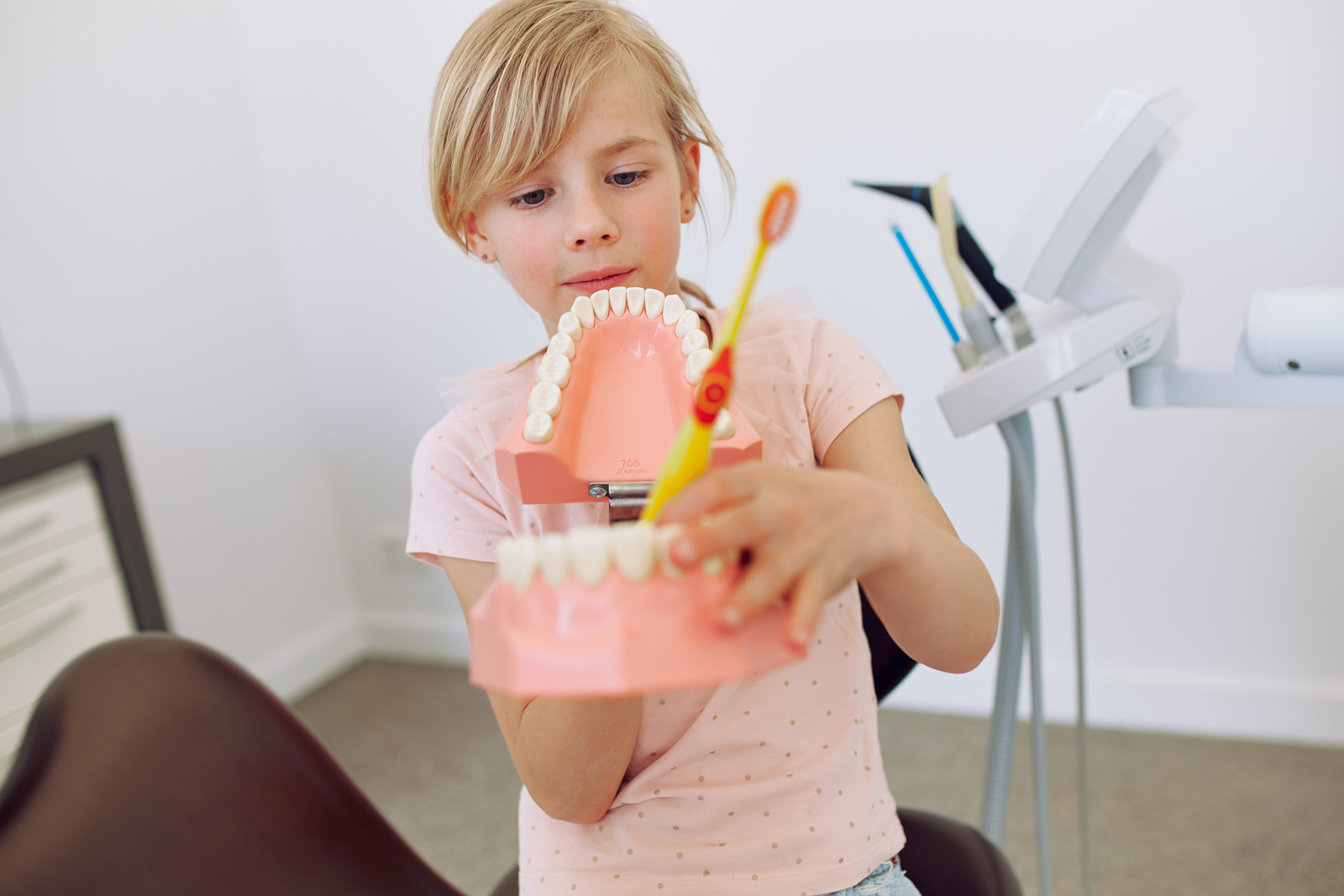 Kleine Mädchen mit Gebissmodell und Zahnbürste