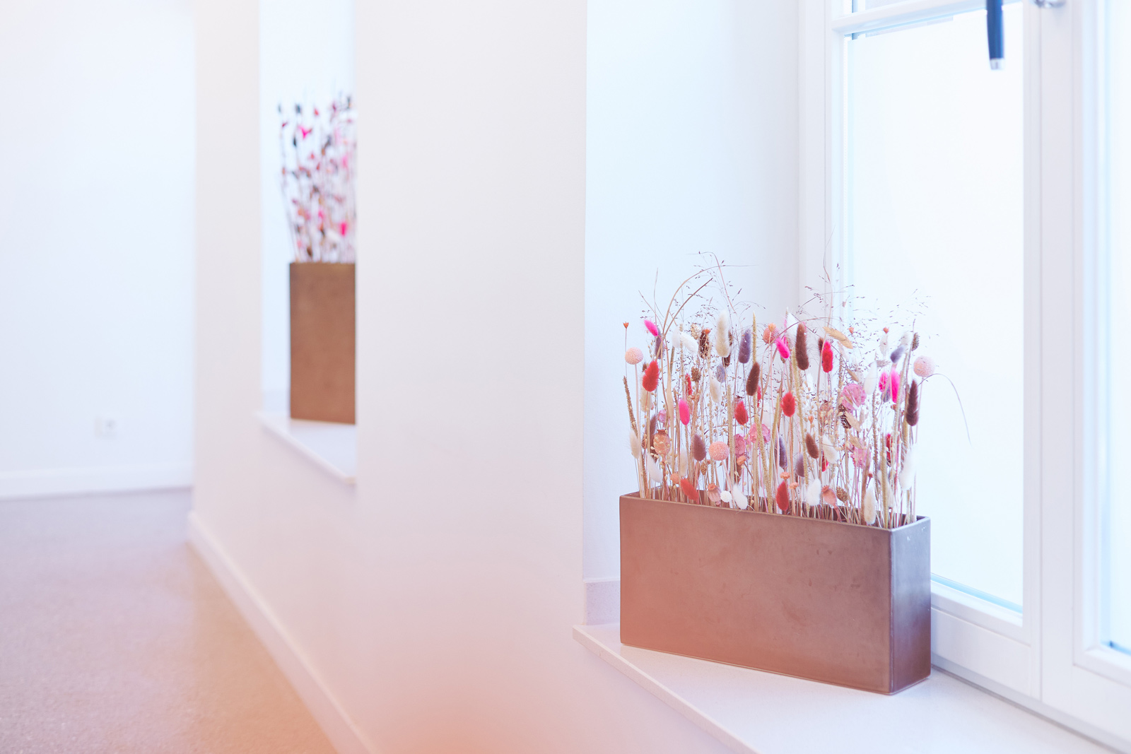 REchteckige Blumentöpfe mit Blumen rose bis lila